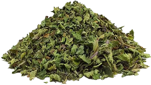 badranjboye بادرنجبویه